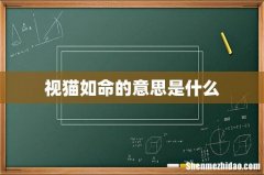视猫如命的意思是什么