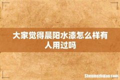 大家觉得晨阳水漆怎么样有人用过吗