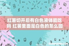 红薯切开后有白色液体能吃吗 红薯里面是白色的怎么回事