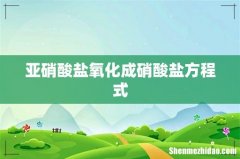 亚硝酸盐氧化成硝酸盐方程式