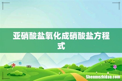 亚硝酸盐氧化成硝酸盐方程式