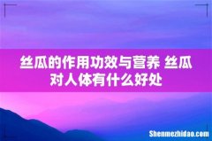 丝瓜的作用功效与营养 丝瓜对人体有什么好处