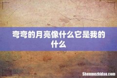 弯弯的月亮像什么它是我的什么