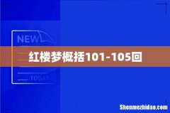 红楼梦概括101-105回