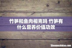 竹笋和鱼肉相克吗 竹笋有什么营养价值功效