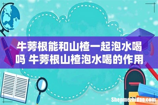 牛蒡根能和山楂一起泡水喝吗 牛蒡根山楂泡水喝的作用