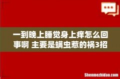 一到晚上睡觉身上痒怎么回事啊 主要是螨虫惹的祸3招即可解决