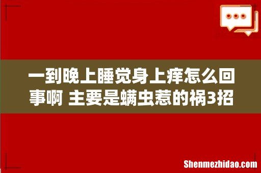 一到晚上睡觉身上痒怎么回事啊 主要是螨虫惹的祸3招即可解决