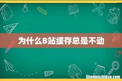 为什么B站缓存总是不动