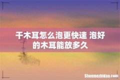 干木耳怎么泡更快速 泡好的木耳能放多久