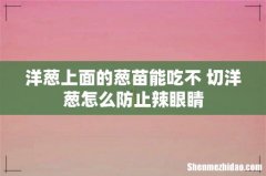 洋葱上面的葱苗能吃不 切洋葱怎么防止辣眼睛