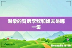 温柔的背后李歆和姐夫是哪一集