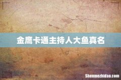金鹰卡通主持人大鱼真名