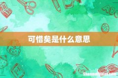 可惜矣是什么意思