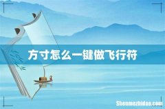 方寸怎么一键做飞行符