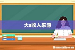 大s收入来源