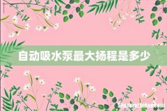 自动吸水泵最大扬程是多少