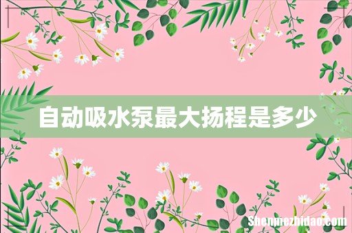 自动吸水泵最大扬程是多少
