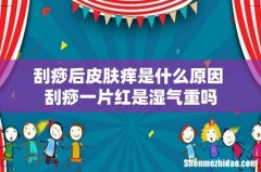 刮痧后皮肤痒是什么原因 刮痧一片红是湿气重吗