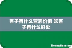 杏子有什么营养价值 吃杏子有什么好处