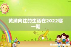 黄渤向往的生活在2022哪一期