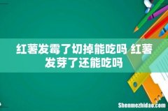 红薯发霉了切掉能吃吗 红薯发芽了还能吃吗