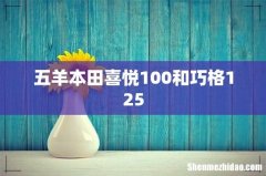 五羊本田喜悦100和巧格125