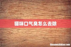 猫咪口气臭怎么去除