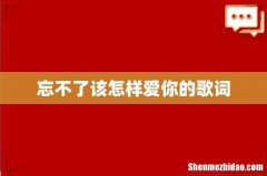 忘不了该怎样爱你的歌词