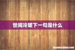 世间冷暖下一句是什么