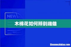 木棉花如何辨别雌雄