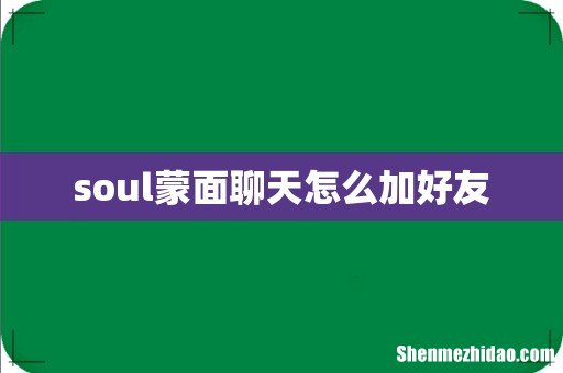 soul蒙面聊天怎么加好友