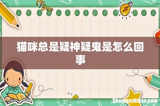 猫咪总是疑神疑鬼是怎么回事
