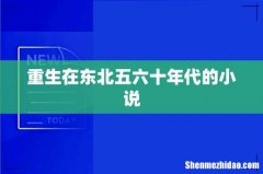 重生在东北五六十年代的小说