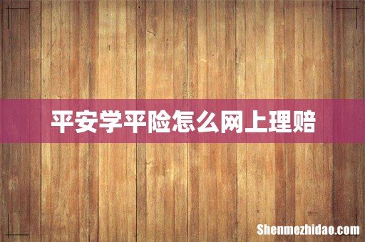 平安学平险怎么网上理赔