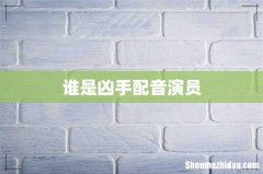 谁是凶手配音演员
