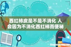 西红柿皮是不是不消化 人会因为不消化西红柿而便秘吗
