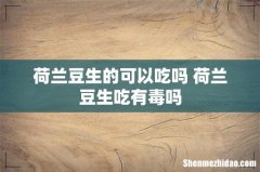 荷兰豆生的可以吃吗 荷兰豆生吃有毒吗