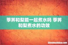 荸荠和梨能一起煮水吗 荸荠和梨煮水的功效