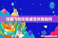 任骏飞和任骏威是双胞胎吗