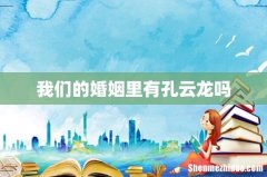 我们的婚姻里有孔云龙吗