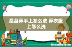 桑葚弄手上怎么洗 弄衣服上怎么洗
