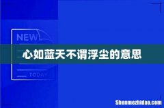 心如蓝天不谓浮尘的意思