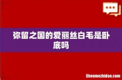 弥留之国的爱丽丝白毛是卧底吗
