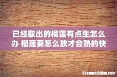 已经取出的榴莲有点生怎么办 榴莲要怎么放才会熟的快