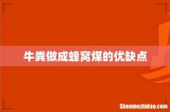 牛粪做成蜂窝煤的优缺点