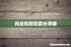 肖战和赖冠霖长得像