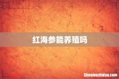 红海参能养殖吗