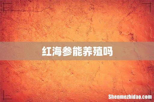 红海参能养殖吗