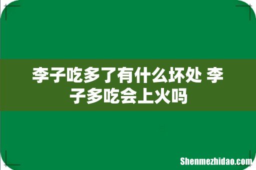 李子吃多了有什么坏处 李子多吃会上火吗